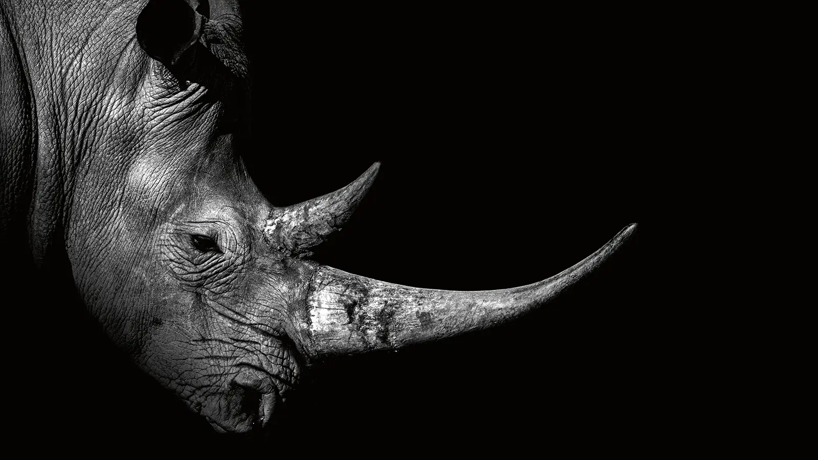 Standhaft. Belastbar. Unüberwindbar. – Pooltechnologie auf höchstem Niveau